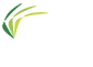 ASR Group