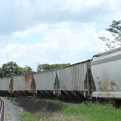 Azúcar Refinada – Granel (Ferro Tolva)